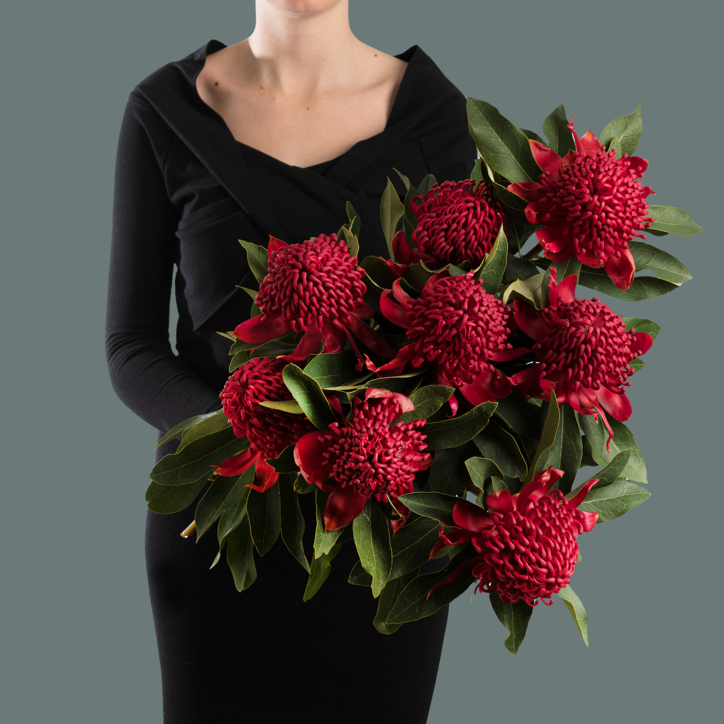 Waratah by Victoria Blum Florist, Sydney