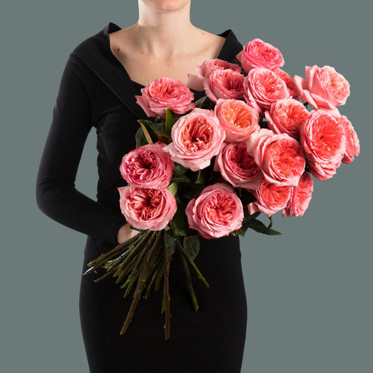 Roses